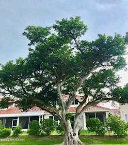 250 Saint Lucie Lane #19 Cocoa Beach, FL 32931