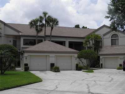 3014 Red Oak Ct #202 Palm Harbor, FL 34684