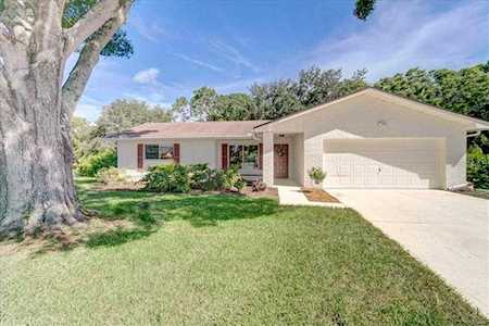 2852 Chalmers Ct Palm Harbor, FL 34684