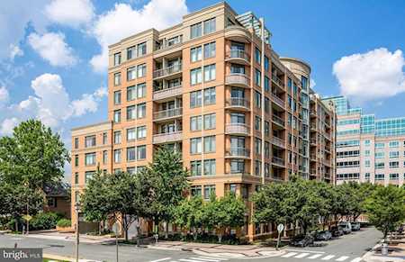 3625 10th St N #203 Arlington, VA 22201