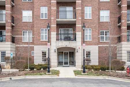 390 W Mahogany Ct #208 Palatine, IL 60067
