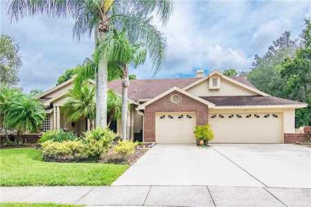 175 Greenhaven CIRCLE Oldsmar, FL 34677