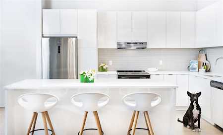 31158 Westridge Place #221 Abbotsford, BC V0V 0V0