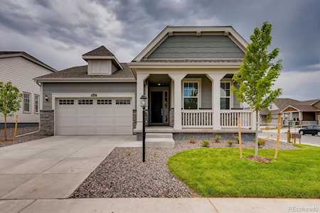8772 E 155th Ct Thornton, CO 80602