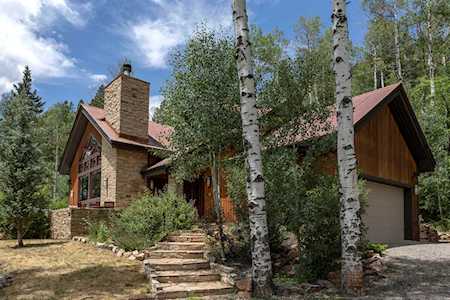 295 Sky Mountain Ranch Rd Placerville, COLORADO 81430