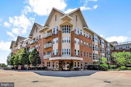 23 Pierside Dr #425 Baltimore, MD 21230