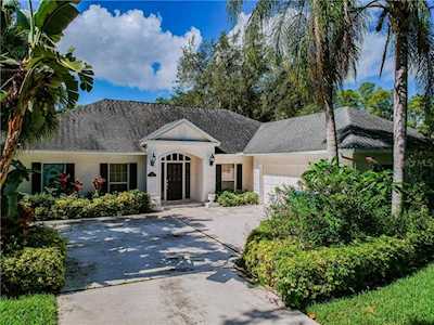 3336 Cobbs Ct Palm Harbor, FL 34684