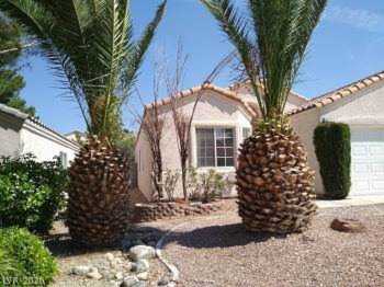 3171 Castle Canyon Ave Henderson, NV 89052