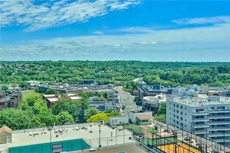 10 City Place #17E White Plains, NY 10601
