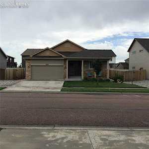 6896 Red Cardinal Loop Colorado Springs, CO 80908