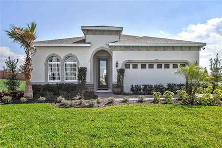 29578 Sedgeway Blvd Wesley Chapel, FL 33544