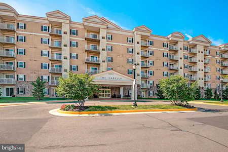 6301 Edsall Rd #503 Alexandria, VA 22312