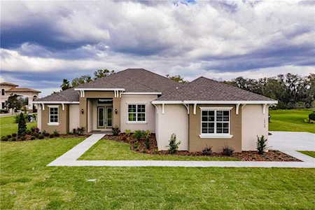 10908 Brice Tree Ct Lithia, FL 33547