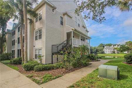 3310 Haviland Ct #304 Palm Harbor, FL 34684