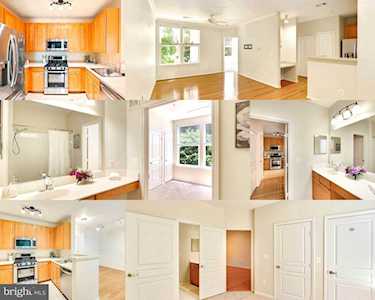 12001 Market St #213 Reston, VA 20190