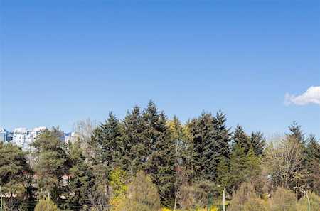 811 W 7th Avenue #111 Vancouver, BC V5Z 1C2