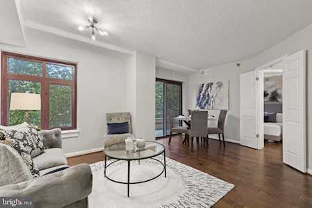 2400 Clarendon Blvd #212 Arlington, VA 22201