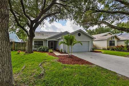 3538 Ridge Blvd Palm Harbor, FL 34684