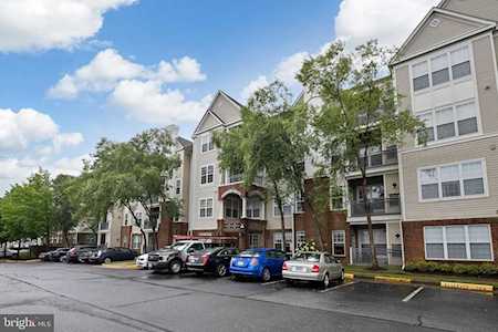 3021 Nicosh Circle #1101 Falls Church, VA 22042