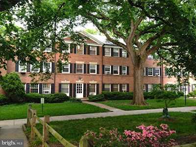 903 Frederick St #A Arlington, VA 22204