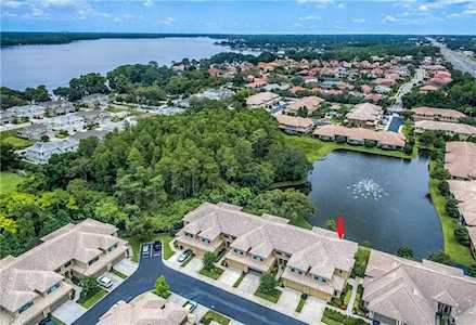 2546 Silverback Ct Palm Harbor, FL 34684
