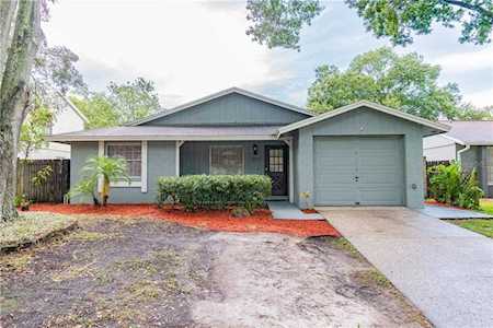 3317 Northlawn Dr Tampa, FL 33618