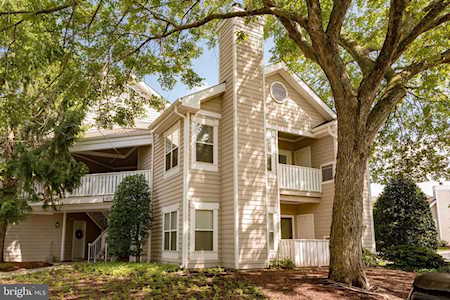 6011 Rosebud Ln #203 Centreville, VA 20121