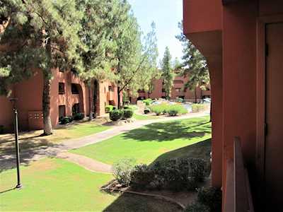 12212 N Paradise Village Parkway #215 Phoenix, AZ 85032