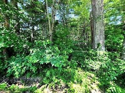 323 Hopkins Hollow Rd Coventry, RI 02827