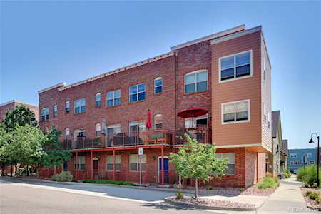 5408 Zephyr Ct Arvada, CO 80002