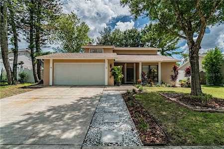 15811 Hound Horn Ln Tampa, FL 33624
