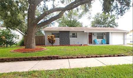 8368 Jacaranda Ave Seminole, FL 33777