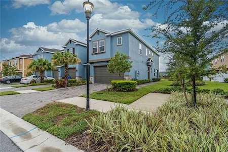 3230 Painted Blossom Ct Lutz, FL 33558