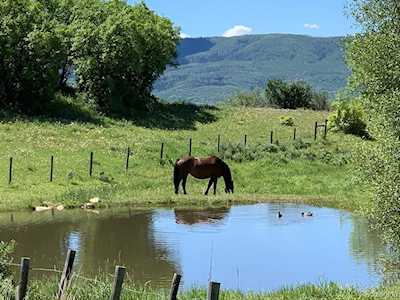 32820 S Elk Dr Steamboat Springs, CO 80487