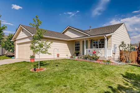 4172 Deer Watch Dr Castle Rock, CO 80104