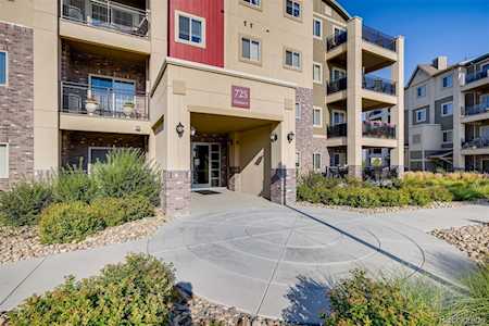 725 Elmhurst Dr #303 Highlands Ranch, CO 80129