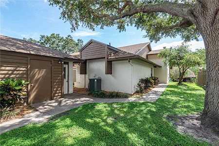 1912 Westley St Safety Harbor, FL 34695