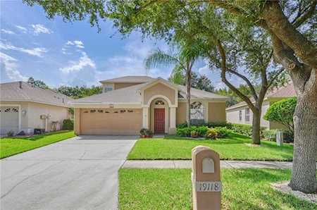 19118 Chemille Dr Lutz, FL 33558