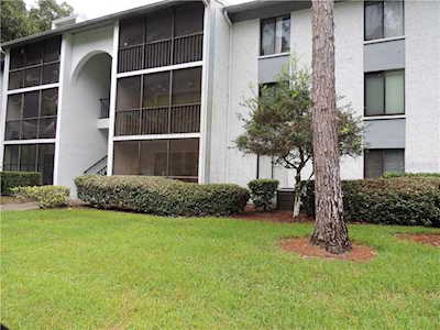 1372 Pine Ridge CIRCLE E #D1 Tarpon Springs, FL 34688