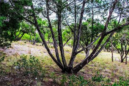 20706 Hemingway CV Lago Vista, TX 78645