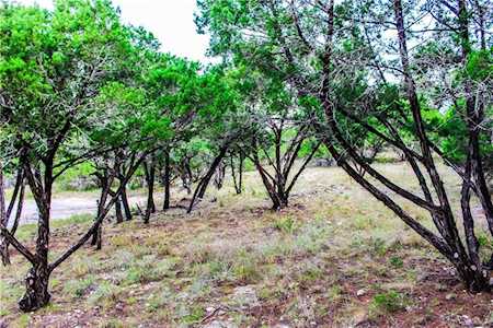 20705 Hemingway CV Lago Vista, TX 78645