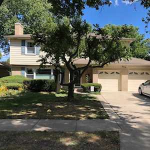 809 S Walnut Ave Arlington Heights, IL 60005