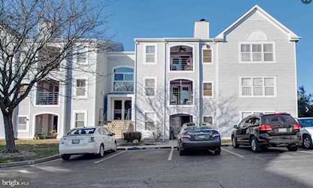 30 Greystone Ct #L Annapolis, MD 21403