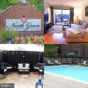 1225 Gemini Dr #A Annapolis, MD 21403