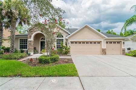 16153 Colchester Palms Dr Tampa, FL 33647