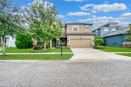 8229 Mallow Mirror Ln Land O Lakes, FL 34637