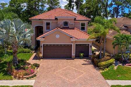 2630 Grand Lakeside Dr Palm Harbor, FL 34684