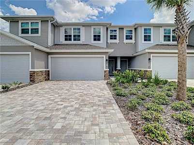 5354 Riverwalk Preserve Dr New Port Richey, FL 34653