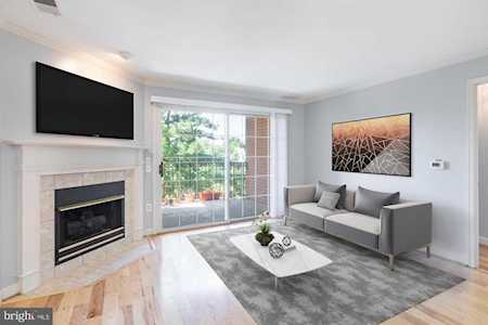 6924 Fairfax Dr #308 Arlington, VA 22213