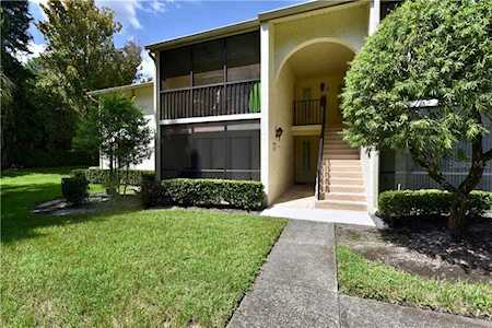 3100 Lake Pine WAY #C1 Tarpon Springs, FL 34688